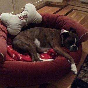 Meet your Posher, Valerie